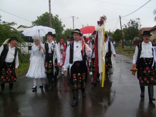 lagzi91