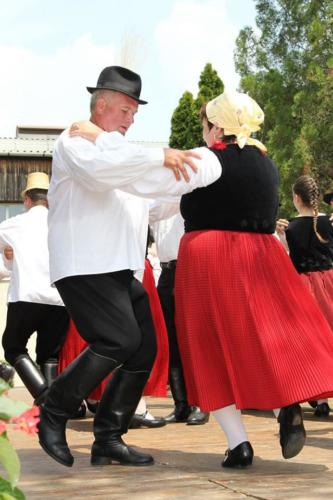 prokaj5