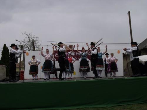 hadas49